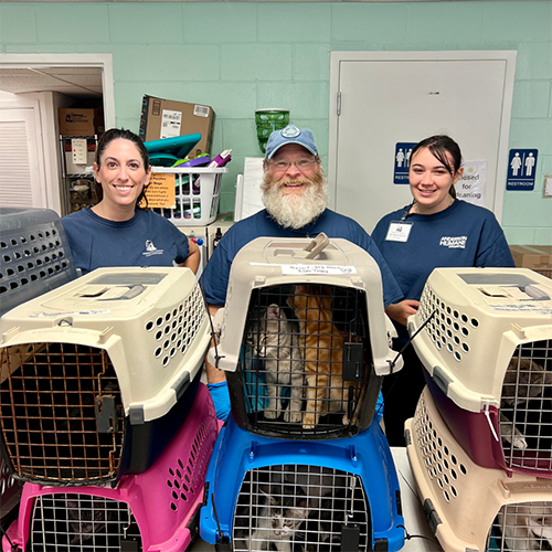Anderson Humane logo, an Illinois animal shelter and nonprofit rescue partner