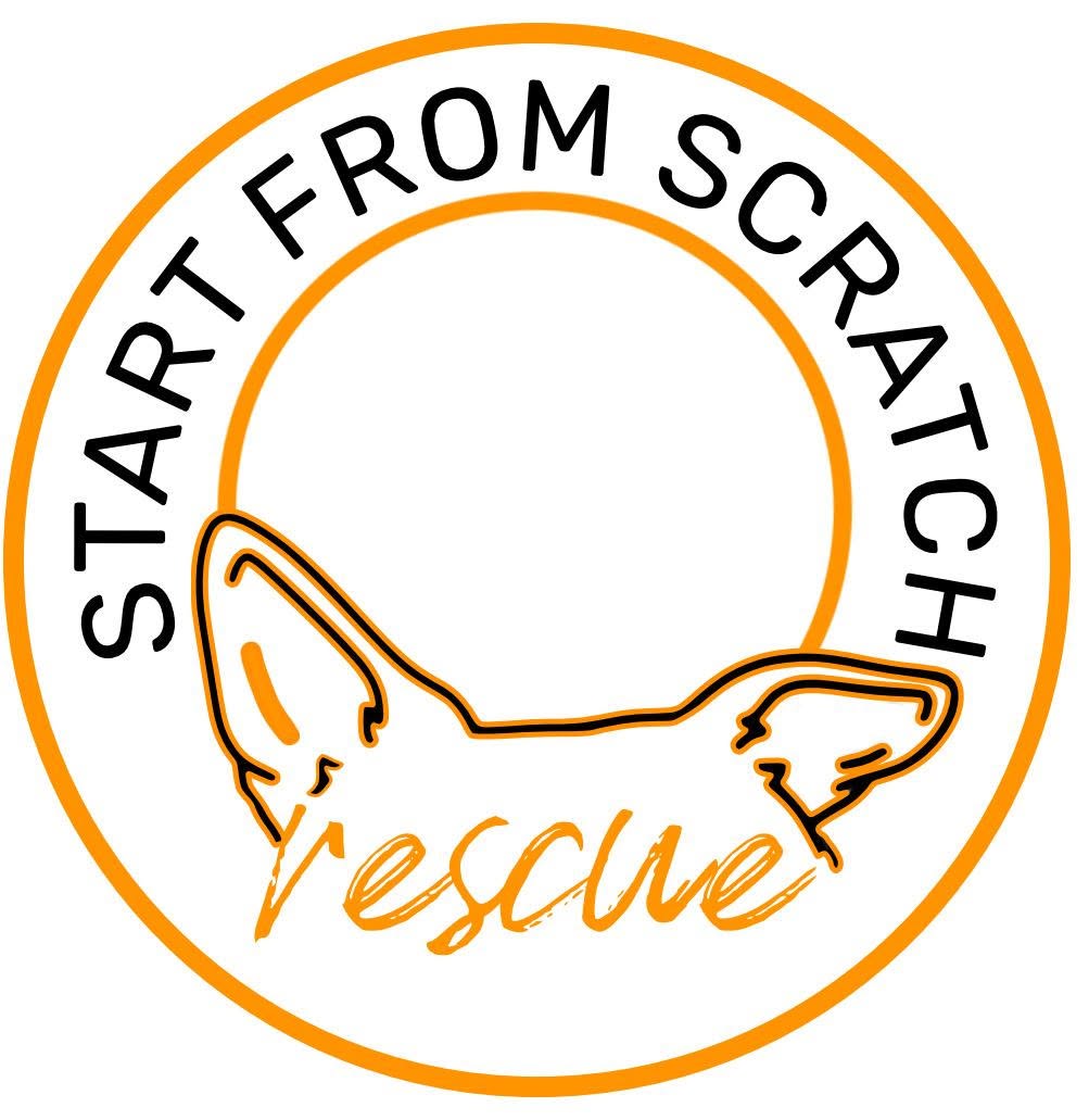 Start From Scratch Rescue