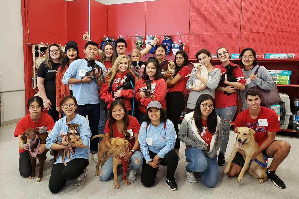 Volunteer with a rescue dog at Ruff House Rescue, a nonprofit animal rescue partner