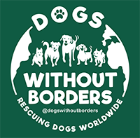 Dogs Without Borders Rescue Logo