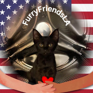 Furry Friends Foundation logo