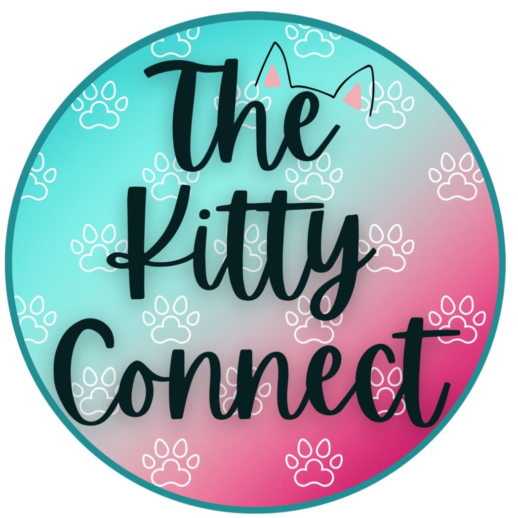 A circular graphic with the words 'The Kitty Connect' in black script over a teal-to-pink gradient background with white paw print icons and a small pink cat-ear motif near the top.