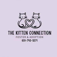 The Kitten Connection logo