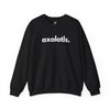 AXOLOTLS, PERIOD. Unisex Crewneck Sweatshirt in Black — sweatshirts that gives back to wildlife rescues
