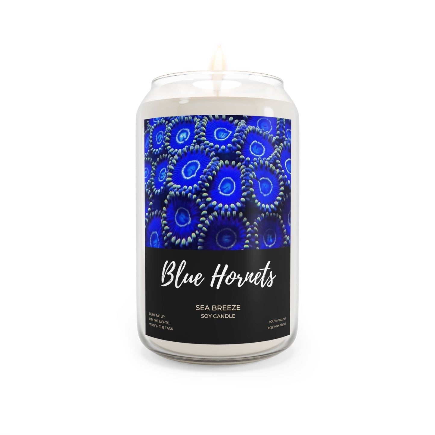 BLUE HORNETS Eco - friendly Sea Breeze Scented Soy Candle 13.75 oz - Support Animal Shelter Fundraising - Gifts for Animal Lovers