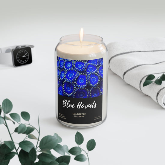 BLUE HORNETS Eco - friendly Sea Breeze Scented Soy Candle 13.75 oz - Support Animal Shelter Fundraising - Gifts for Animal Lovers